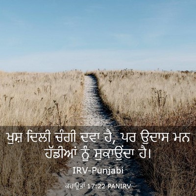 Picture 03 - ਕਹਾਉਤਾਂ 17:22 PANIRV - ਖੁਸ਼ ਦਿਲੀ ਚੰਗੀ ਦਵਾ - Bible Verse Picture