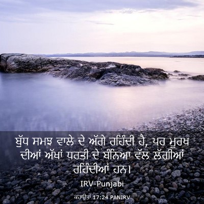 Picture 03 - ਕਹਾਉਤਾਂ 17:24 PANIRV - ਬੁੱਧ ਸਮਝ ਵਾਲੇ ਦੇ - Bible Verse Picture