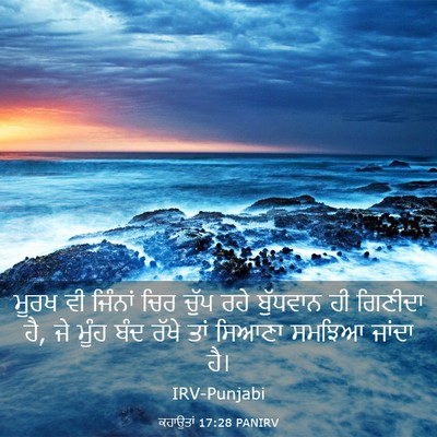 Picture 03 - ਕਹਾਉਤਾਂ 17:28 PANIRV - ਮੂਰਖ ਵੀ ਜਿੰਨਾਂ ਚਿਰ - Bible Verse Picture