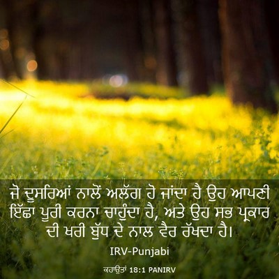 Picture 03 - ਕਹਾਉਤਾਂ 18:1 PANIRV - ਜੋ ਦੂਸਰਿਆਂ ਨਾਲੋਂ - Bible Verse Picture