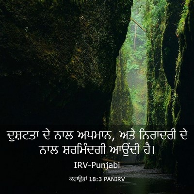 Picture 03 - ਕਹਾਉਤਾਂ 18:3 PANIRV - ਦੁਸ਼ਟਤਾ ਦੇ ਨਾਲ - Bible Verse Picture