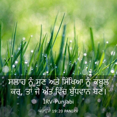 Picture 03 - ਕਹਾਉਤਾਂ 19:20 PANIRV - ਸਲਾਹ ਨੂੰ ਸੁਣ ਅਤੇ - Bible Verse Picture
