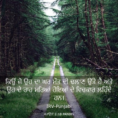 Picture 03 - ਕਹਾਉਤਾਂ 2:18 PANIRV - ਕਿਉਂ ਜੋ ਉਹ ਦਾ ਘਰ - Bible Verse Picture