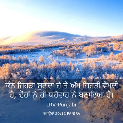 Picture 03 - ਕਹਾਉਤਾਂ 20:12 PANIRV - ਕੰਨ ਜਿਹੜਾ ਸੁਣਦਾ ਹੈ - Bible Verse Picture