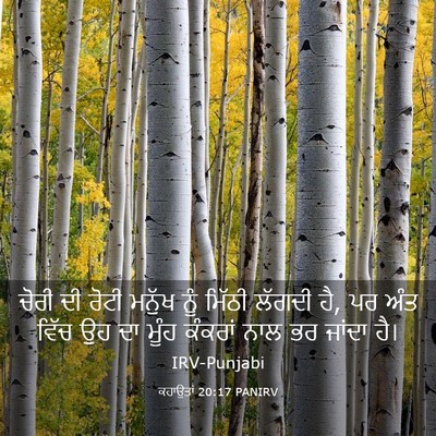 Picture 03 - ਕਹਾਉਤਾਂ 20:17 PANIRV - ਚੋਰੀ ਦੀ ਰੋਟੀ ਮਨੁੱਖ - Bible Verse Picture
