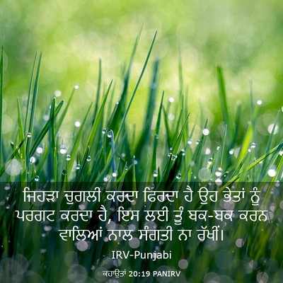 Picture 03 - ਕਹਾਉਤਾਂ 20:19 PANIRV - ਜਿਹੜਾ ਚੁਗਲੀ ਕਰਦਾ - Bible Verse Picture
