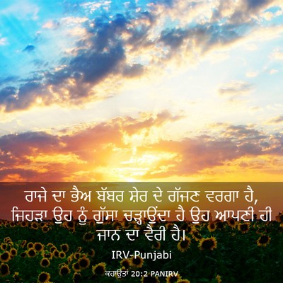 Picture 03 - ਕਹਾਉਤਾਂ 20:2 PANIRV - ਰਾਜੇ ਦਾ ਭੈਅ ਬੱਬਰ - Bible Verse Picture
