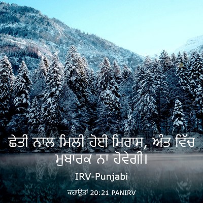 Picture 03 - ਕਹਾਉਤਾਂ 20:21 PANIRV - ਛੇਤੀ ਨਾਲ ਮਿਲੀ ਹੋਈ - Bible Verse Picture
