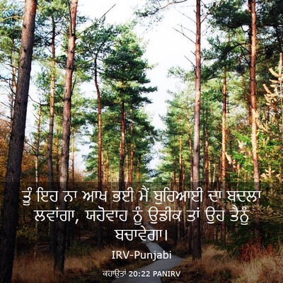 Picture 03 - ਕਹਾਉਤਾਂ 20:22 PANIRV - ਤੂੰ ਇਹ ਨਾ ਆਖ ਭਈ ਮੈਂ - Bible Verse Picture