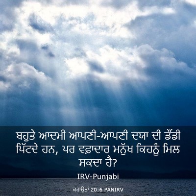 Picture 03 - ਕਹਾਉਤਾਂ 20:6 PANIRV - ਬਹੁਤੇ ਆਦਮੀ - Bible Verse Picture