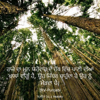 Picture 03 - ਕਹਾਉਤਾਂ 21:1 PANIRV - ਰਾਜੇ ਦਾ ਮਨ ਯਹੋਵਾਹ - Bible Verse Picture