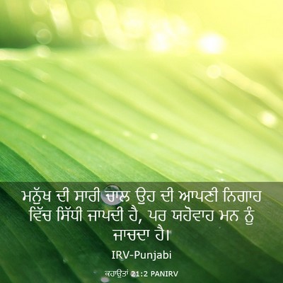 Picture 03 - ਕਹਾਉਤਾਂ 21:2 PANIRV - ਮਨੁੱਖ ਦੀ ਸਾਰੀ ਚਾਲ - Bible Verse Picture