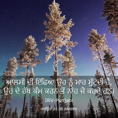 Picture 03 - ਕਹਾਉਤਾਂ 21:25 PANIRV - ਆਲਸੀ ਦੀ ਇੱਛਿਆ ਉਹ - Bible Verse Picture