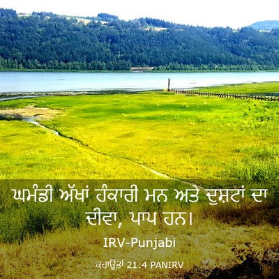 Picture 03 - ਕਹਾਉਤਾਂ 21:4 PANIRV - ਘਮੰਡੀ ਅੱਖਾਂ - Bible Verse Picture