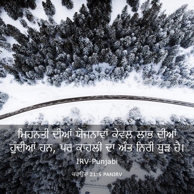 Picture 03 - ਕਹਾਉਤਾਂ 21:5 PANIRV - ਮਿਹਨਤੀ ਦੀਆਂ - Bible Verse Picture