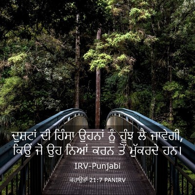 Picture 03 - ਕਹਾਉਤਾਂ 21:7 PANIRV - ਦੁਸ਼ਟਾਂ ਦੀ ਹਿੰਸਾ - Bible Verse Picture