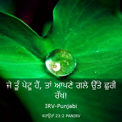 Picture 03 - ਕਹਾਉਤਾਂ 23:2 PANIRV - ਜੇ ਤੂੰ ਪੇਟੂ ਹੈਂ, - Bible Verse Picture