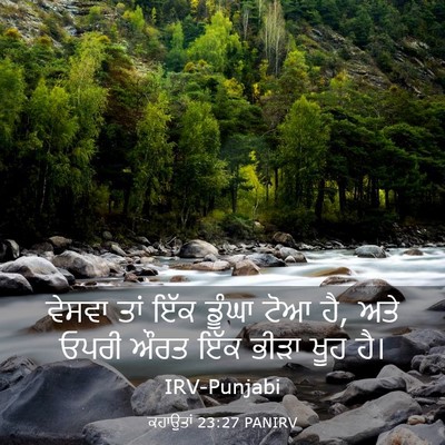 Picture 03 - ਕਹਾਉਤਾਂ 23:27 PANIRV - ਵੇਸਵਾ ਤਾਂ ਇੱਕ - Bible Verse Picture