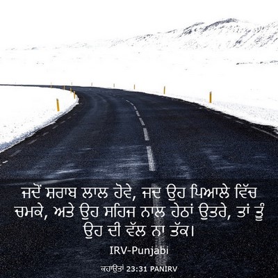 Picture 03 - ਕਹਾਉਤਾਂ 23:31 PANIRV - ਜਦੋਂ ਸ਼ਰਾਬ ਲਾਲ - Bible Verse Picture