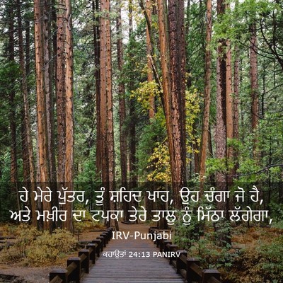 Picture 03 - ਕਹਾਉਤਾਂ 24:13 PANIRV - ਹੇ ਮੇਰੇ ਪੁੱਤਰ, ਤੂੰ - Bible Verse Picture