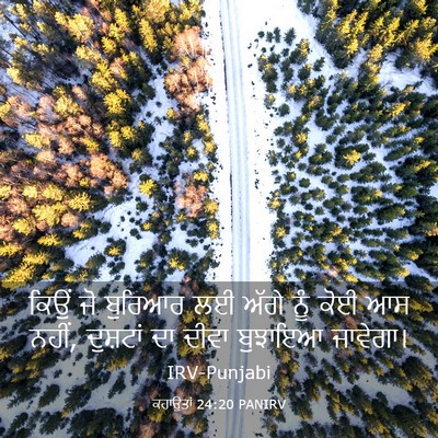 Picture 03 - ਕਹਾਉਤਾਂ 24:20 PANIRV - ਕਿਉਂ ਜੋ ਬੁਰਿਆਰ ਲਈ - Bible Verse Picture