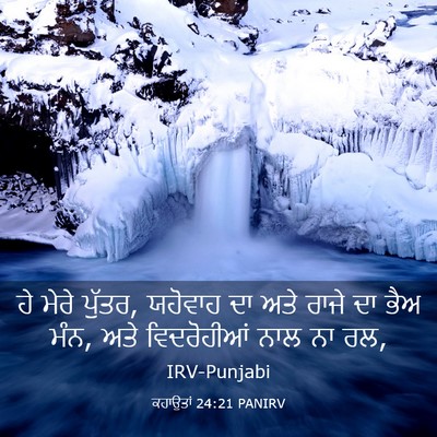 Picture 03 - ਕਹਾਉਤਾਂ 24:21 PANIRV - ਹੇ ਮੇਰੇ ਪੁੱਤਰ, - Bible Verse Picture