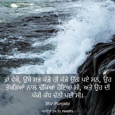 Picture 03 - ਕਹਾਉਤਾਂ 24:31 PANIRV - ਤਾਂ ਵੇਖੋ, ਉੱਥੇ ਸਭ - Bible Verse Picture