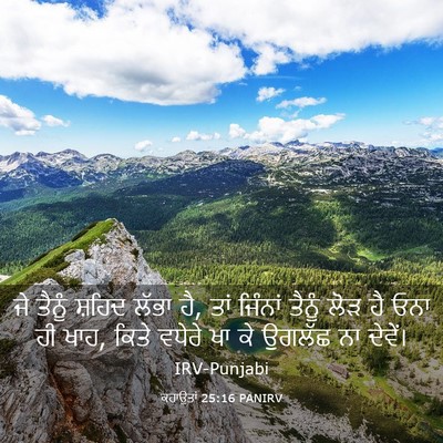 Picture 03 - ਕਹਾਉਤਾਂ 25:16 PANIRV - ਜੇ ਤੈਨੂੰ ਸ਼ਹਿਦ - Bible Verse Picture