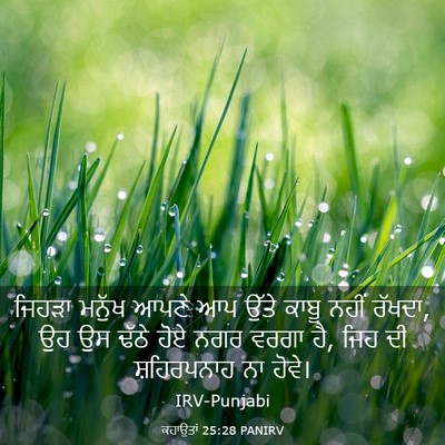 Picture 03 - ਕਹਾਉਤਾਂ 25:28 PANIRV - ਜਿਹੜਾ ਮਨੁੱਖ ਆਪਣੇ - Bible Verse Picture