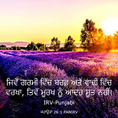 Picture 03 - ਕਹਾਉਤਾਂ 26:1 PANIRV - ਜਿਵੇਂ ਗਰਮੀ ਵਿੱਚ - Bible Verse Picture