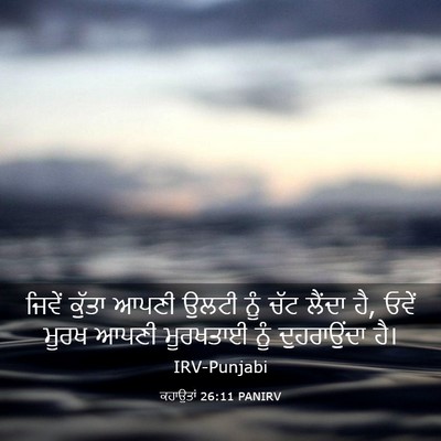 Picture 03 - ਕਹਾਉਤਾਂ 26:11 PANIRV - ਜਿਵੇਂ ਕੁੱਤਾ ਆਪਣੀ - Bible Verse Picture