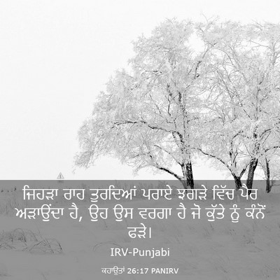 Picture 03 - ਕਹਾਉਤਾਂ 26:17 PANIRV - ਜਿਹੜਾ ਰਾਹ ਤੁਰਦਿਆਂ - Bible Verse Picture