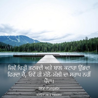 Picture 03 - ਕਹਾਉਤਾਂ 26:2 PANIRV - ਜਿਵੇਂ ਚਿੜ੍ਹੀ - Bible Verse Picture