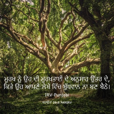 Picture 03 - ਕਹਾਉਤਾਂ 26:5 PANIRV - ਮੂਰਖ ਨੂੰ ਉਹ ਦੀ - Bible Verse Picture
