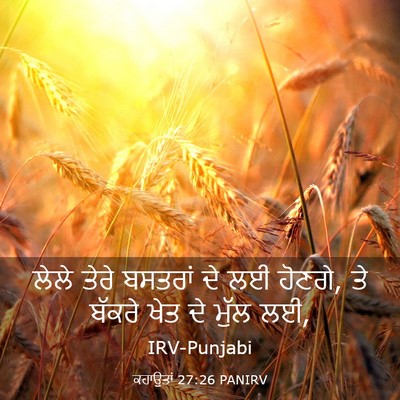 Picture 03 - ਕਹਾਉਤਾਂ 27:26 PANIRV - ਲੇਲੇ ਤੇਰੇ ਬਸਤਰਾਂ - Bible Verse Picture