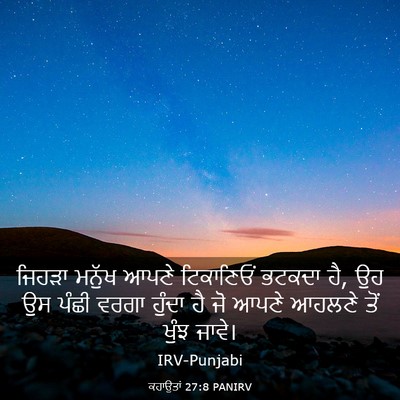Picture 03 - ਕਹਾਉਤਾਂ 27:8 PANIRV - ਜਿਹੜਾ ਮਨੁੱਖ ਆਪਣੇ - Bible Verse Picture