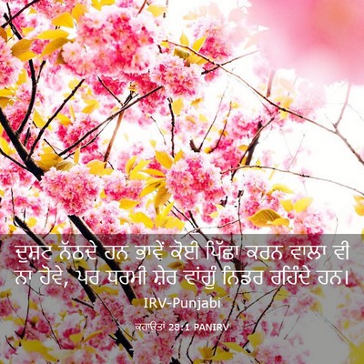 Picture 03 - ਕਹਾਉਤਾਂ 28:1 PANIRV - ਦੁਸ਼ਟ ਨੱਠਦੇ ਹਨ - Bible Verse Picture
