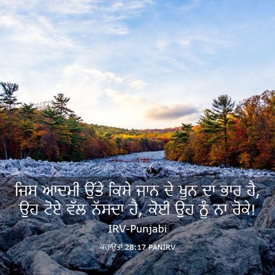 Picture 03 - ਕਹਾਉਤਾਂ 28:17 PANIRV - ਜਿਸ ਆਦਮੀ ਉੱਤੇ ਕਿਸੇ - Bible Verse Picture