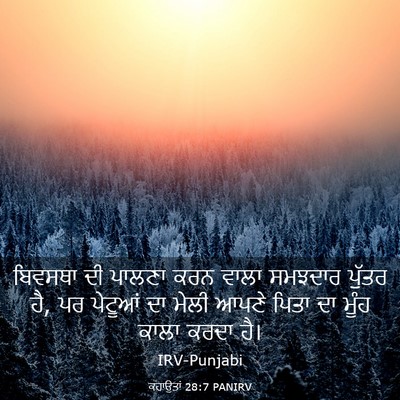Picture 03 - ਕਹਾਉਤਾਂ 28:7 PANIRV - ਬਿਵਸਥਾ ਦੀ ਪਾਲਣਾ - Bible Verse Picture