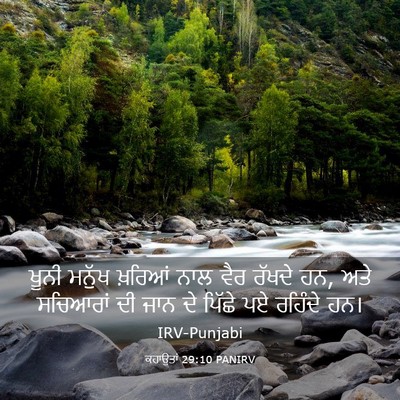 Picture 03 - ਕਹਾਉਤਾਂ 29:10 PANIRV - ਖੂਨੀ ਮਨੁੱਖ ਖ਼ਰਿਆਂ - Bible Verse Picture