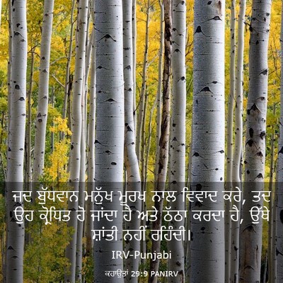 Picture 03 - ਕਹਾਉਤਾਂ 29:9 PANIRV - ਜਦ ਬੁੱਧਵਾਨ ਮਨੁੱਖ - Bible Verse Picture