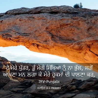 Picture 03 - ਕਹਾਉਤਾਂ 3:1 PANIRV - ਹੇ ਮੇਰੇ ਪੁੱਤਰ, ਤੂੰ - Bible Verse Picture