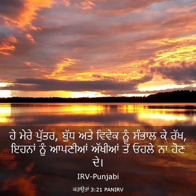 Picture 03 - ਕਹਾਉਤਾਂ 3:21 PANIRV - ਹੇ ਮੇਰੇ ਪੁੱਤਰ, ਬੁੱਧ - Bible Verse Picture