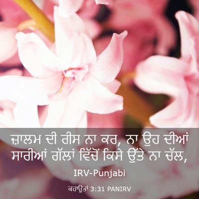 Picture 03 - ਕਹਾਉਤਾਂ 3:31 PANIRV - ਜ਼ਾਲਮ ਦੀ ਰੀਸ ਨਾ ਕਰ, - Bible Verse Picture