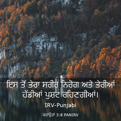 Picture 03 - ਕਹਾਉਤਾਂ 3:8 PANIRV - ਇਸ ਤੋਂ ਤੇਰਾ ਸਰੀਰ - Bible Verse Picture