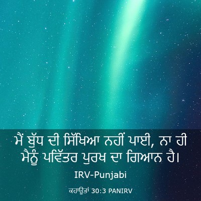 Picture 03 - ਕਹਾਉਤਾਂ 30:3 PANIRV - ਮੈਂ ਬੁੱਧ ਦੀ ਸਿੱਖਿਆ - Bible Verse Picture