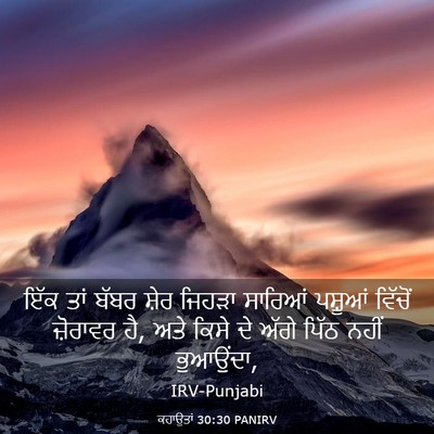Picture 03 - ਕਹਾਉਤਾਂ 30:30 PANIRV - ਇੱਕ ਤਾਂ ਬੱਬਰ ਸ਼ੇਰ - Bible Verse Picture