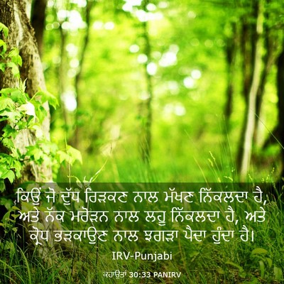 Picture 03 - ਕਹਾਉਤਾਂ 30:33 PANIRV - ਕਿਉਂ ਜੋ ਦੁੱਧ ਰਿੜਕਣ - Bible Verse Picture