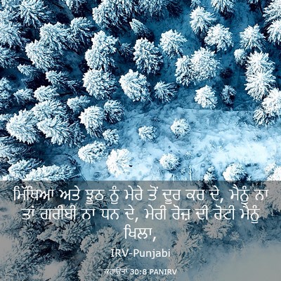 Picture 03 - ਕਹਾਉਤਾਂ 30:8 PANIRV - ਮਿੱਥਿਆ ਅਤੇ ਝੂਠ ਨੂੰ - Bible Verse Picture