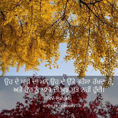 Picture 03 - ਕਹਾਉਤਾਂ 31:11 PANIRV - ਉਹ ਦੇ ਪਤੀ ਦਾ ਮਨ ਉਹ - Bible Verse Picture